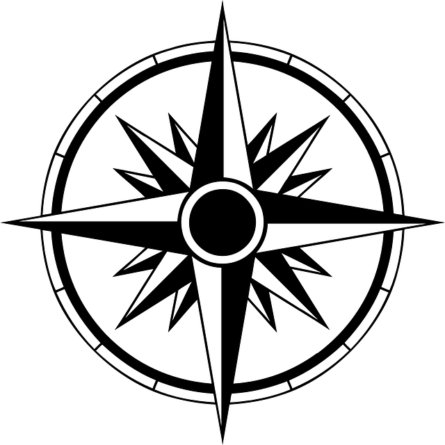 A line drawing of a compass rose