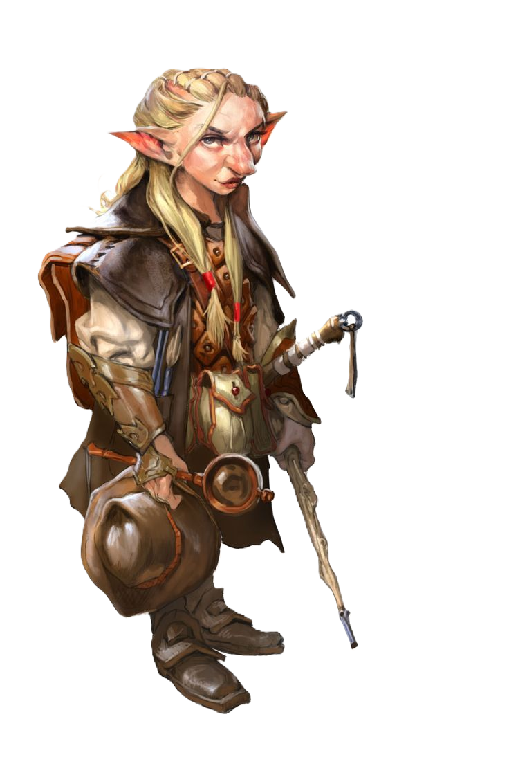 Gnomi Portrait.png