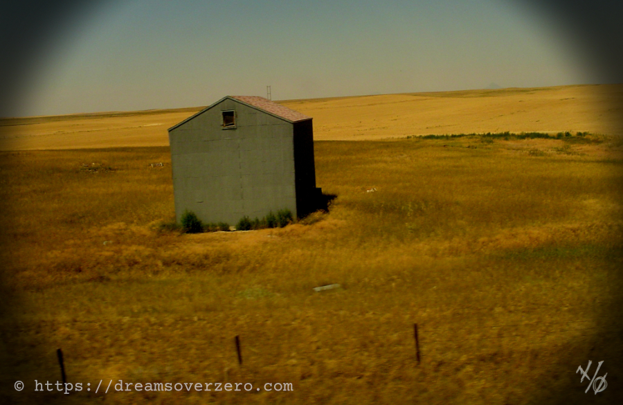 tarnation-county-shed_doz.jpg