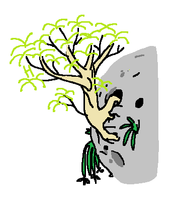 A Parachute Tree clings to small indentations on a former asteroid. The tree is named after its distinctive parachute-like leaves.
