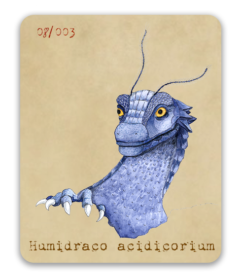 Humidraco acidicorium