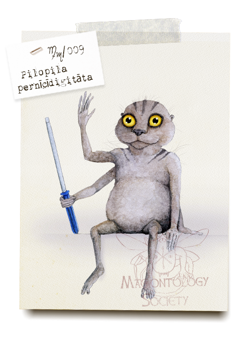 Pilopila pernīcīdigitāta (Nimble-fingered furball)