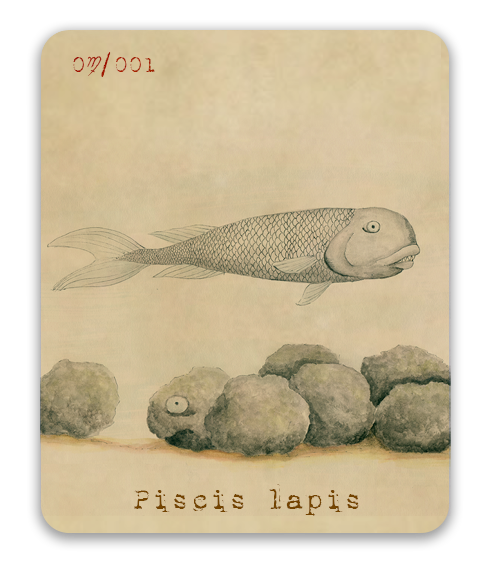Piscis lapis