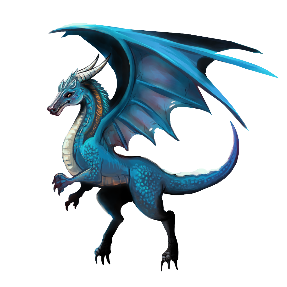 TeresaGuido_Dragon.png A blue dragon with raised wings, standing on its hind legs.
