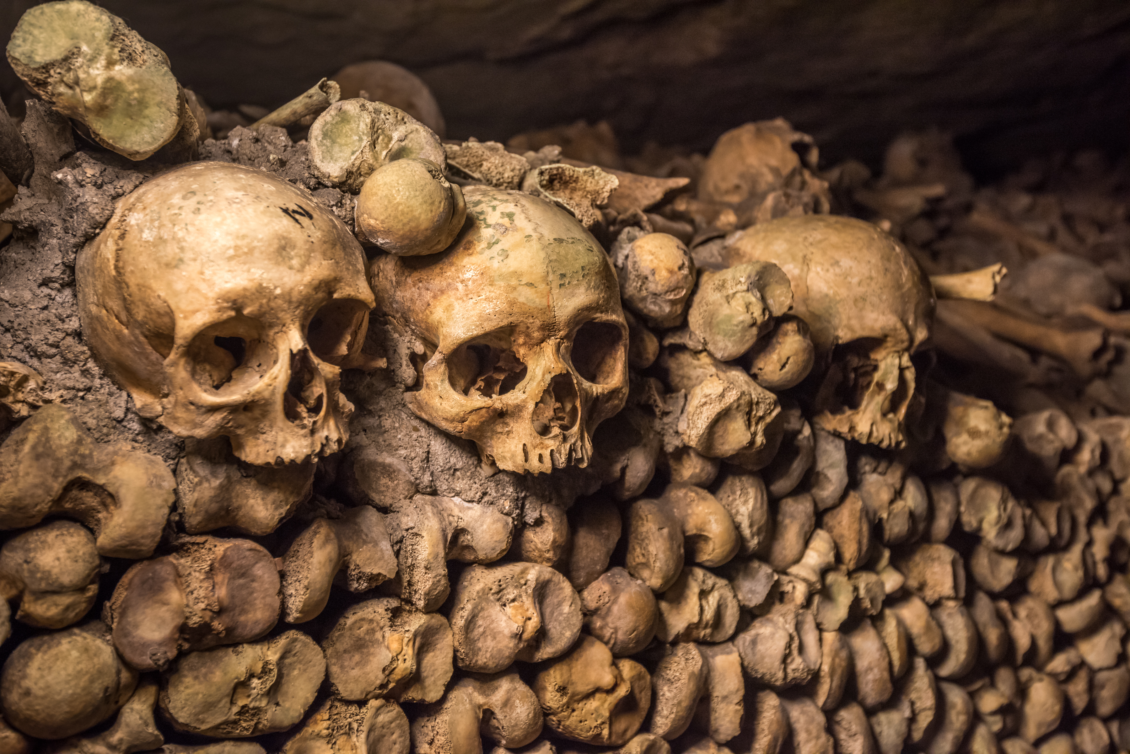 51151316_l.jpg Photo of skulls atop stacks of bones from the burial catacombs of Paris.