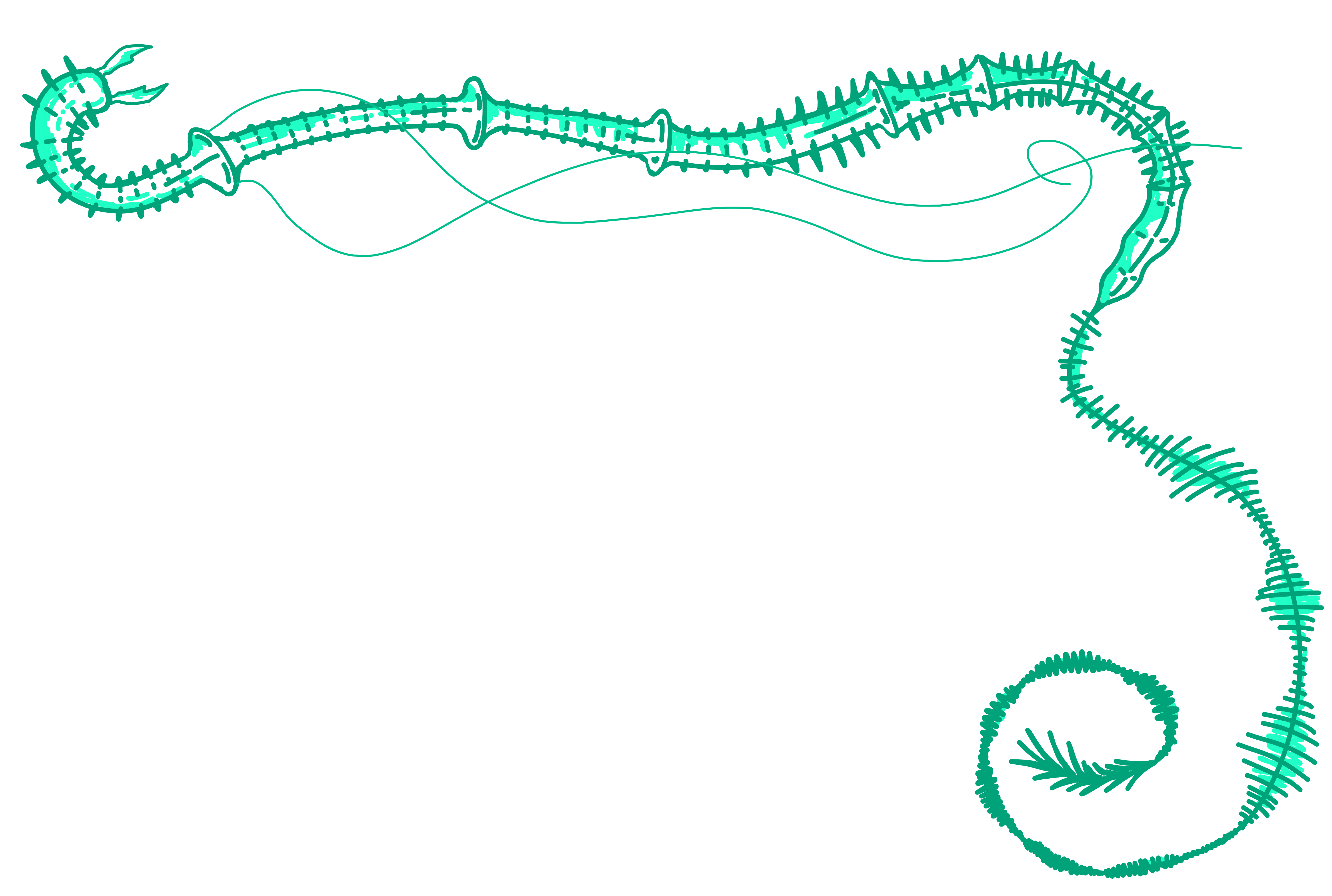 glassytrenchworm.webp