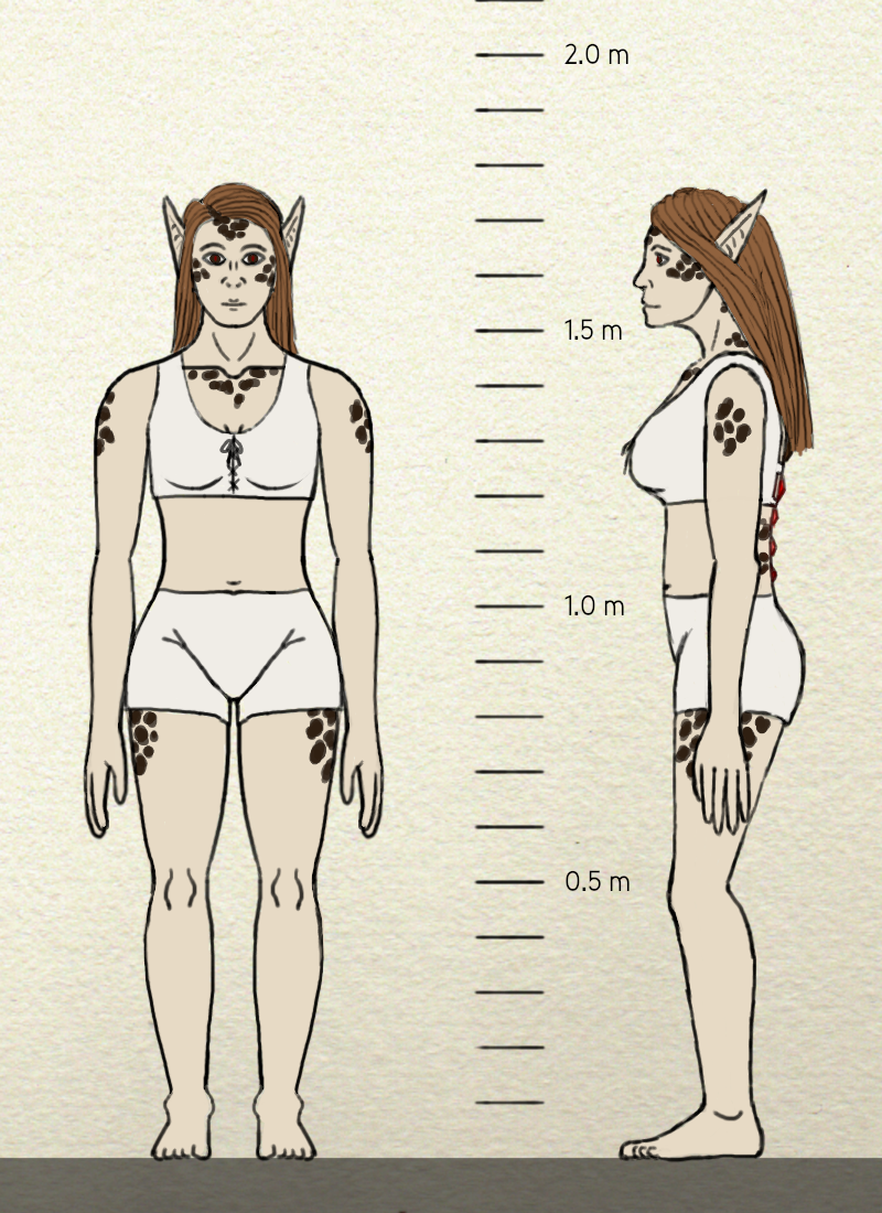 Northern Forest Elf, female, unclothed