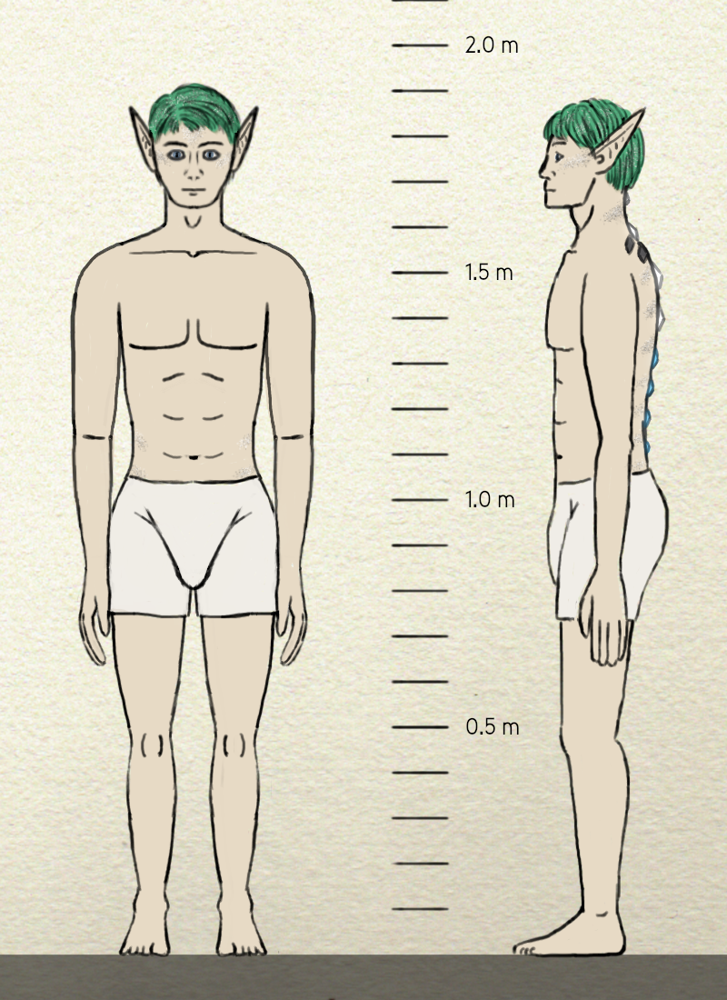 Northern Forest Elf, male, unclothed Northern Forest Elf, male, unclothed