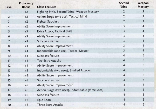 Fighter Features.PNG