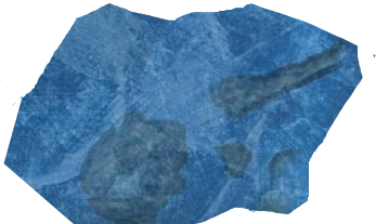 Floating Bones.png