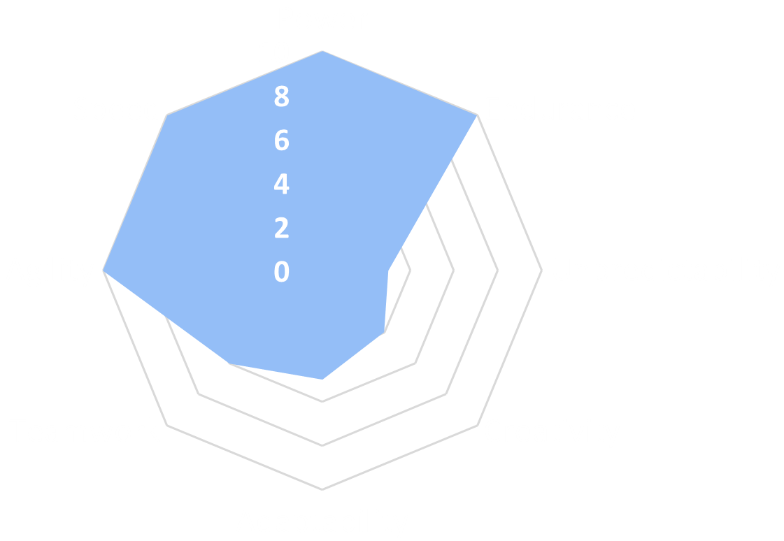 Spider chart - Joinville.png