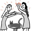 Cat fight.png