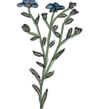 plante - Lin.png