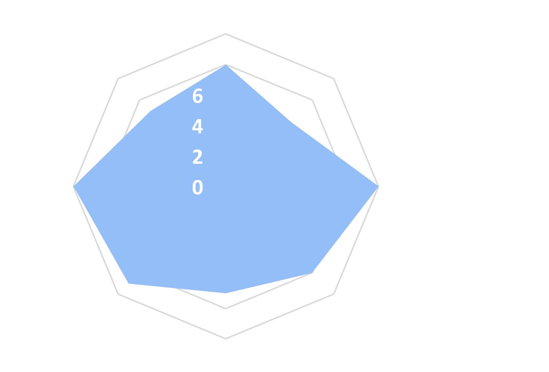 Spider chart - Olivier.png