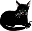 Cat.png