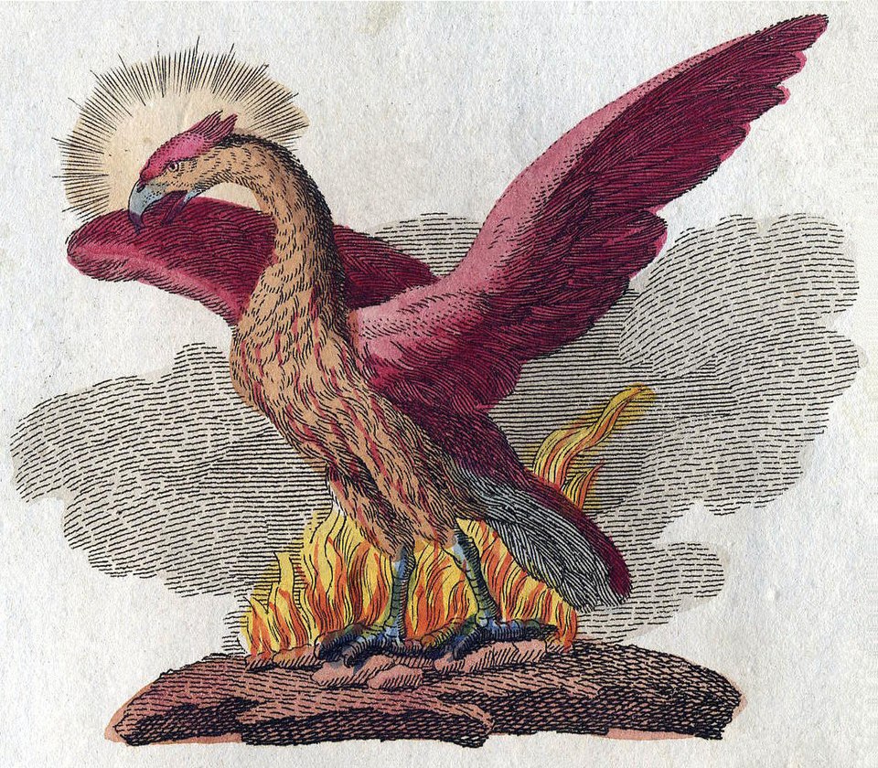 Ancient Phoenix