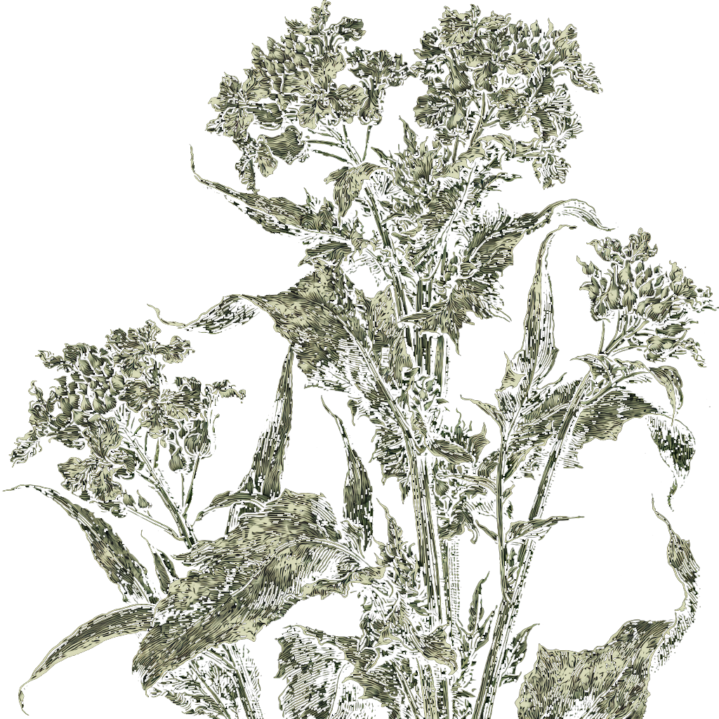 woad.png