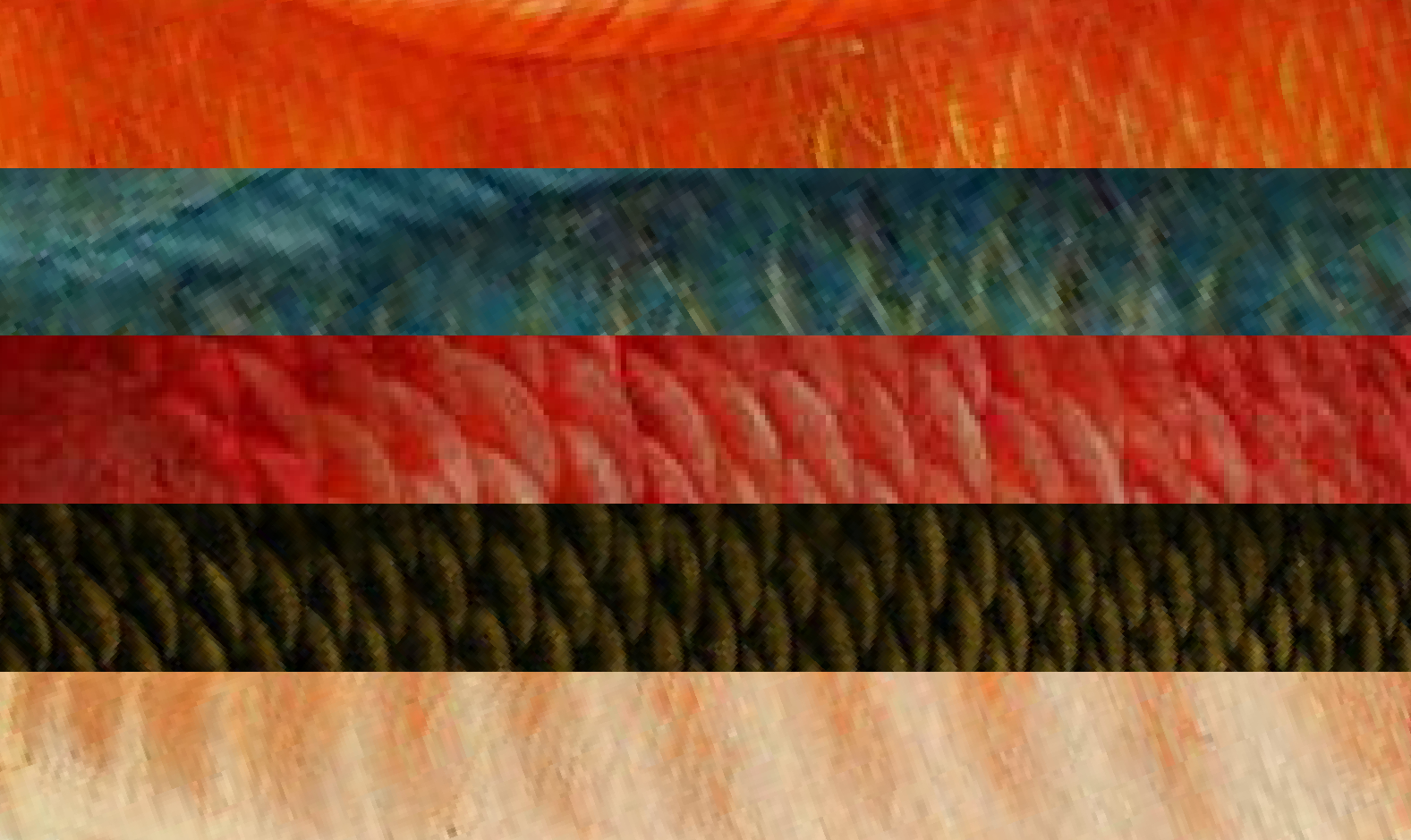 Dragon scales of varying colors.