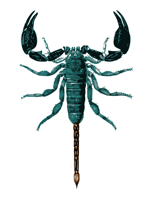 Flash frozen scorpion on a stick