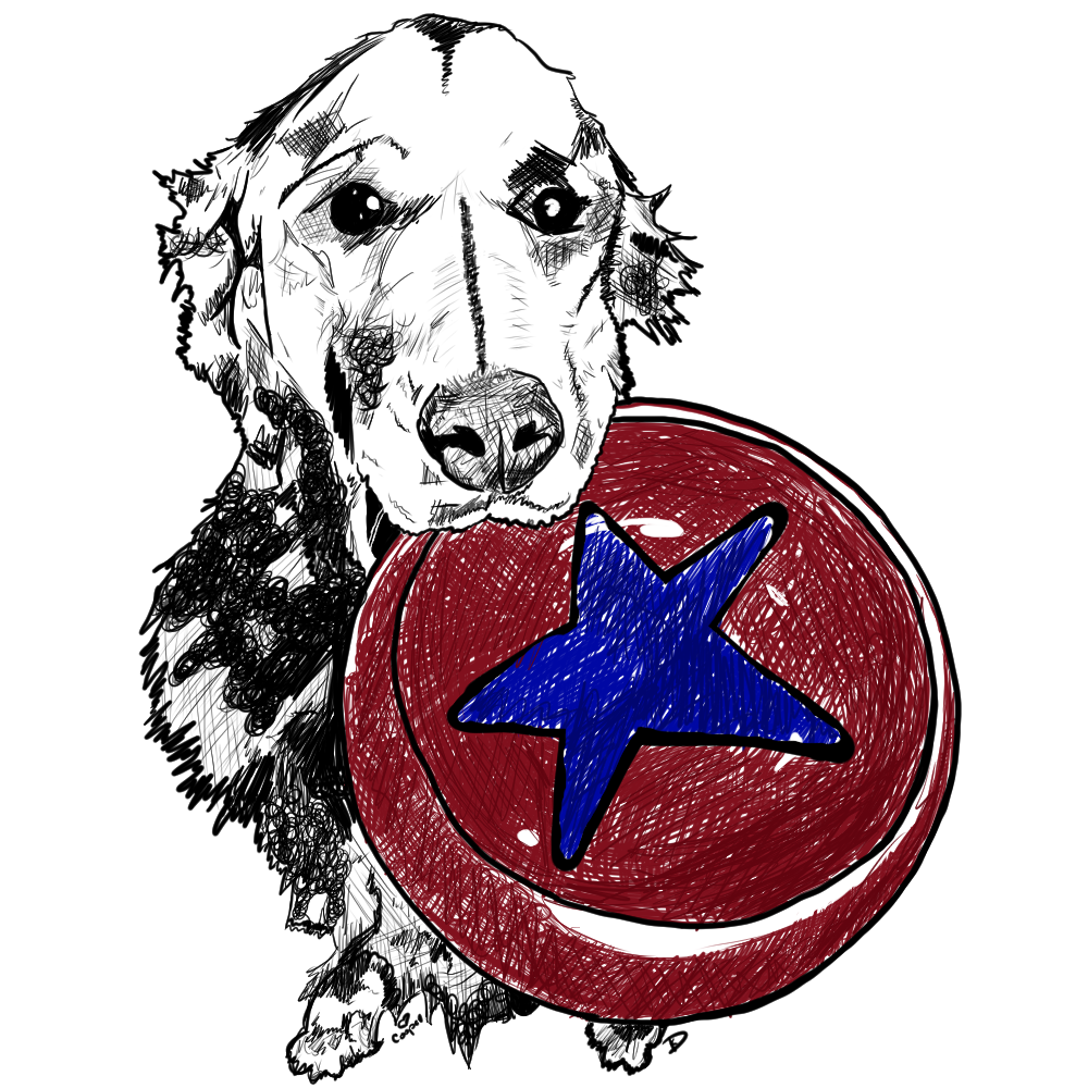 Cooper Stardawg logo