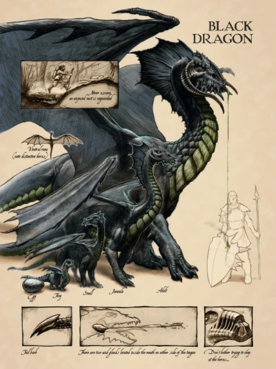 Black_dragon_anatomy.jpg