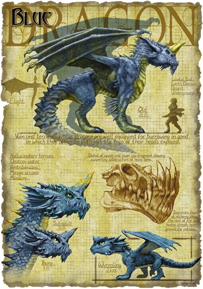 Blue_dragon_anatomy_-_Richard_Sardinha.jpg
