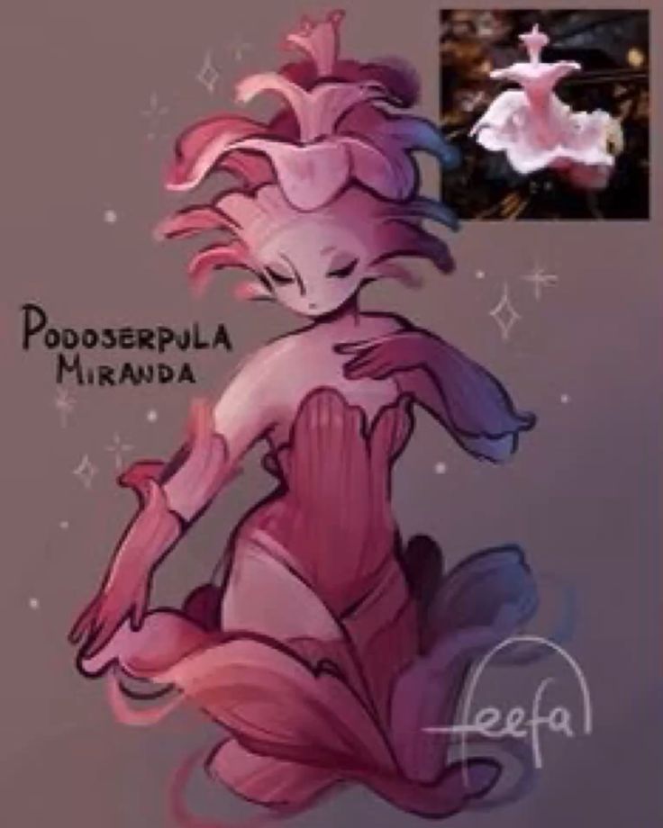 Toxibelle