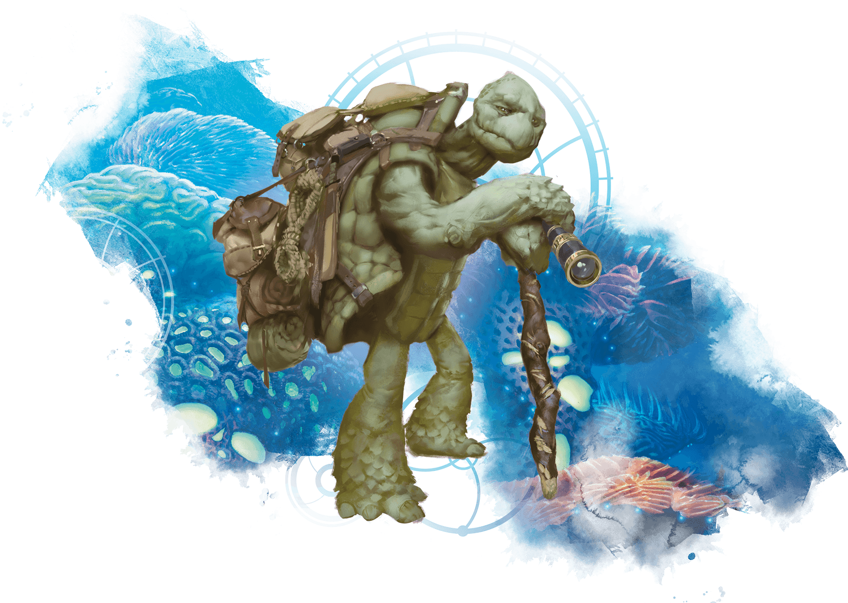 01-029.tortle.png
