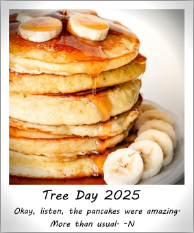 Tree Day 2025.png stack of pancakes with slices of banana and syrup