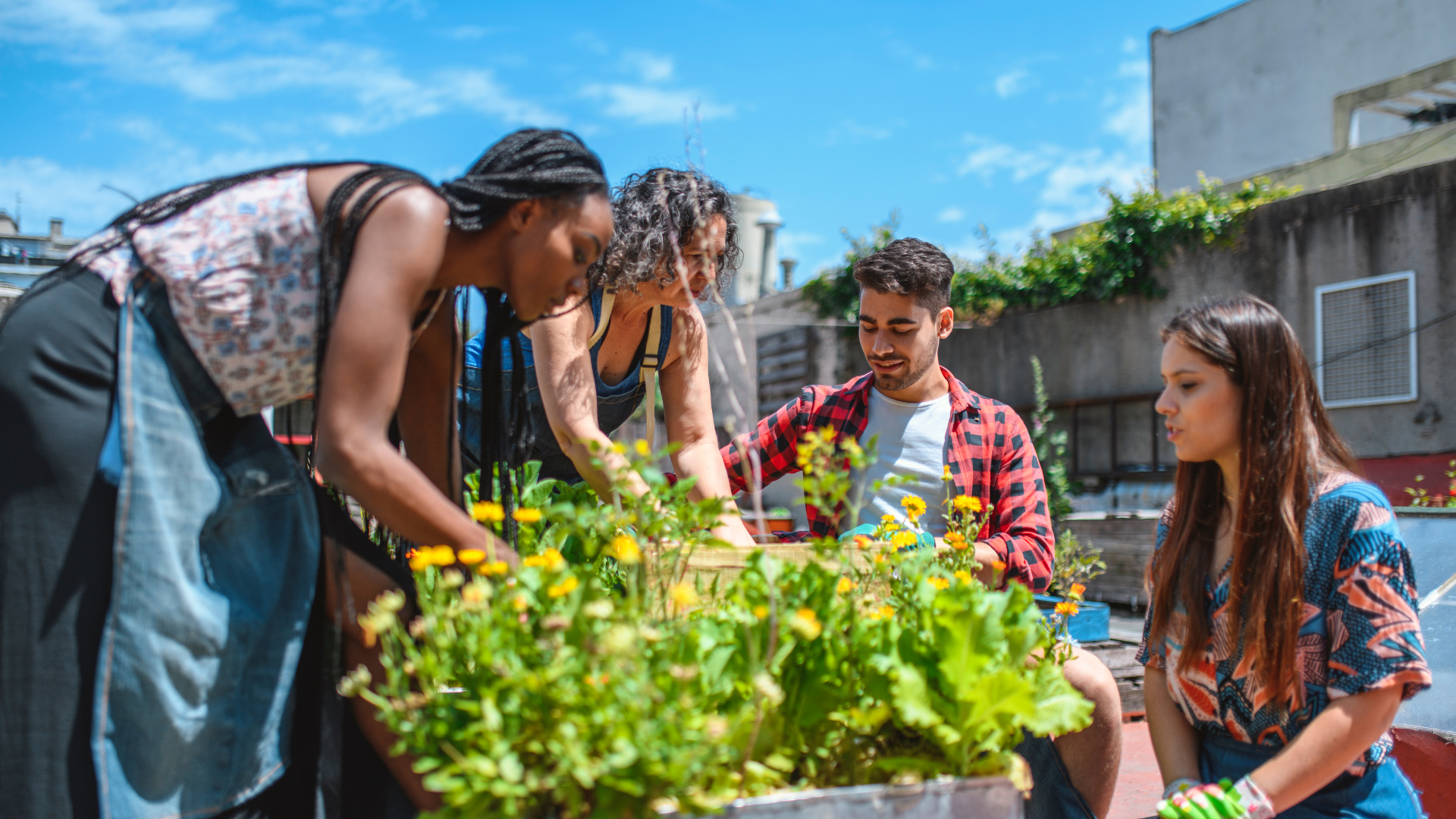 Four people working together to plant flowers in the middle of a city on a sunny day