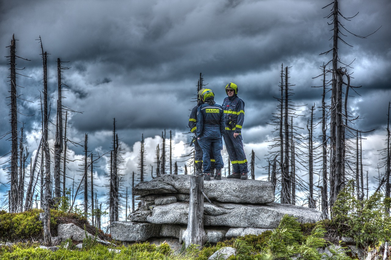 Firefighters standing on flat stones, looking over the aftermath of a devastating forest fire
