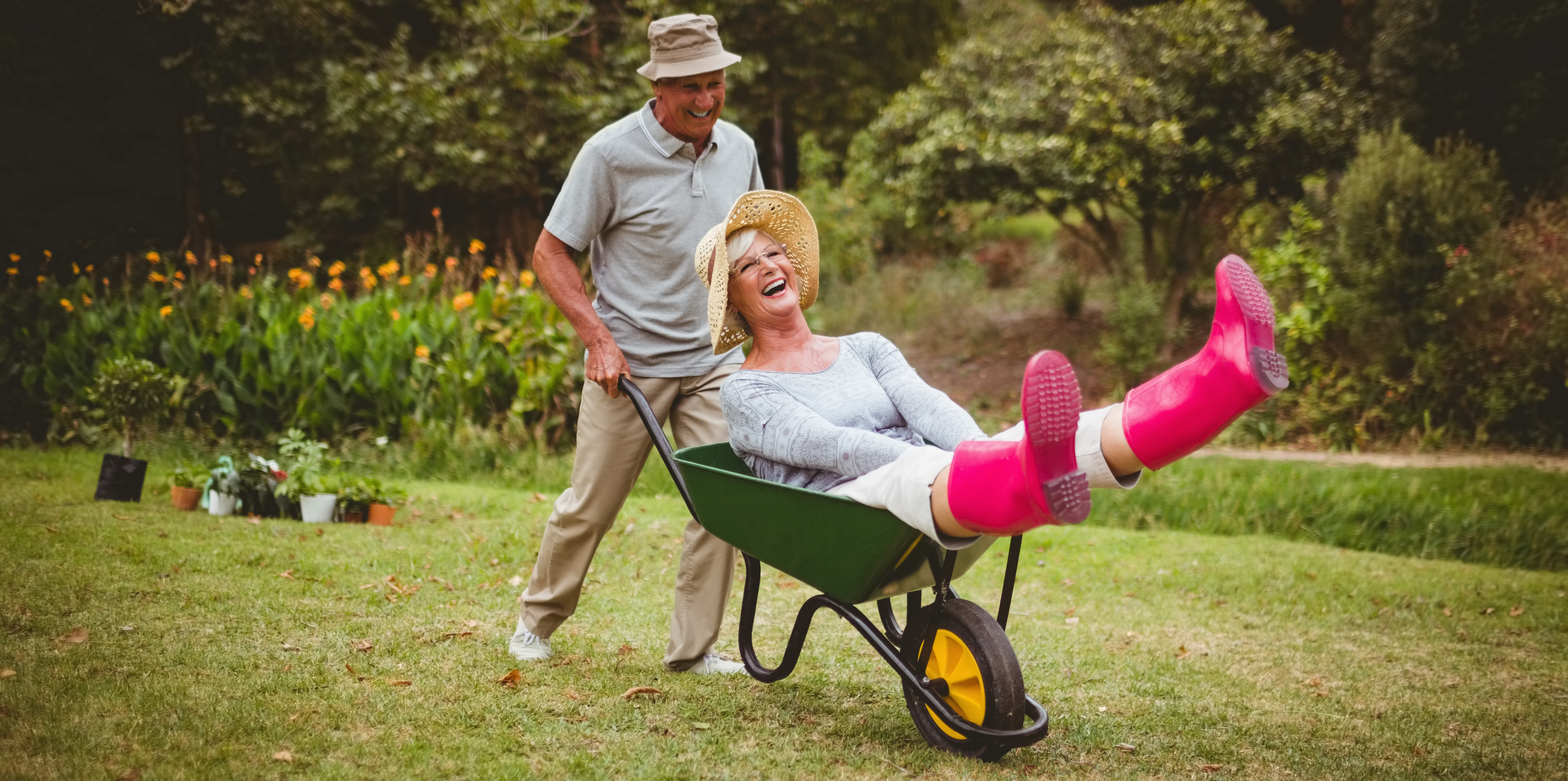 A happy senior couple, with a man pushing a woman in a wheelbarrow, who is wearing pink galoshes. Scene is a damp day in the spring by a tulip garden
