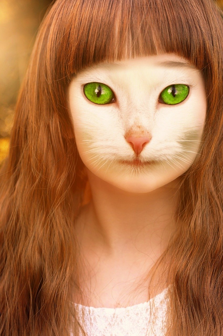 A red-haired girl with the face of a green-eyed, white cat