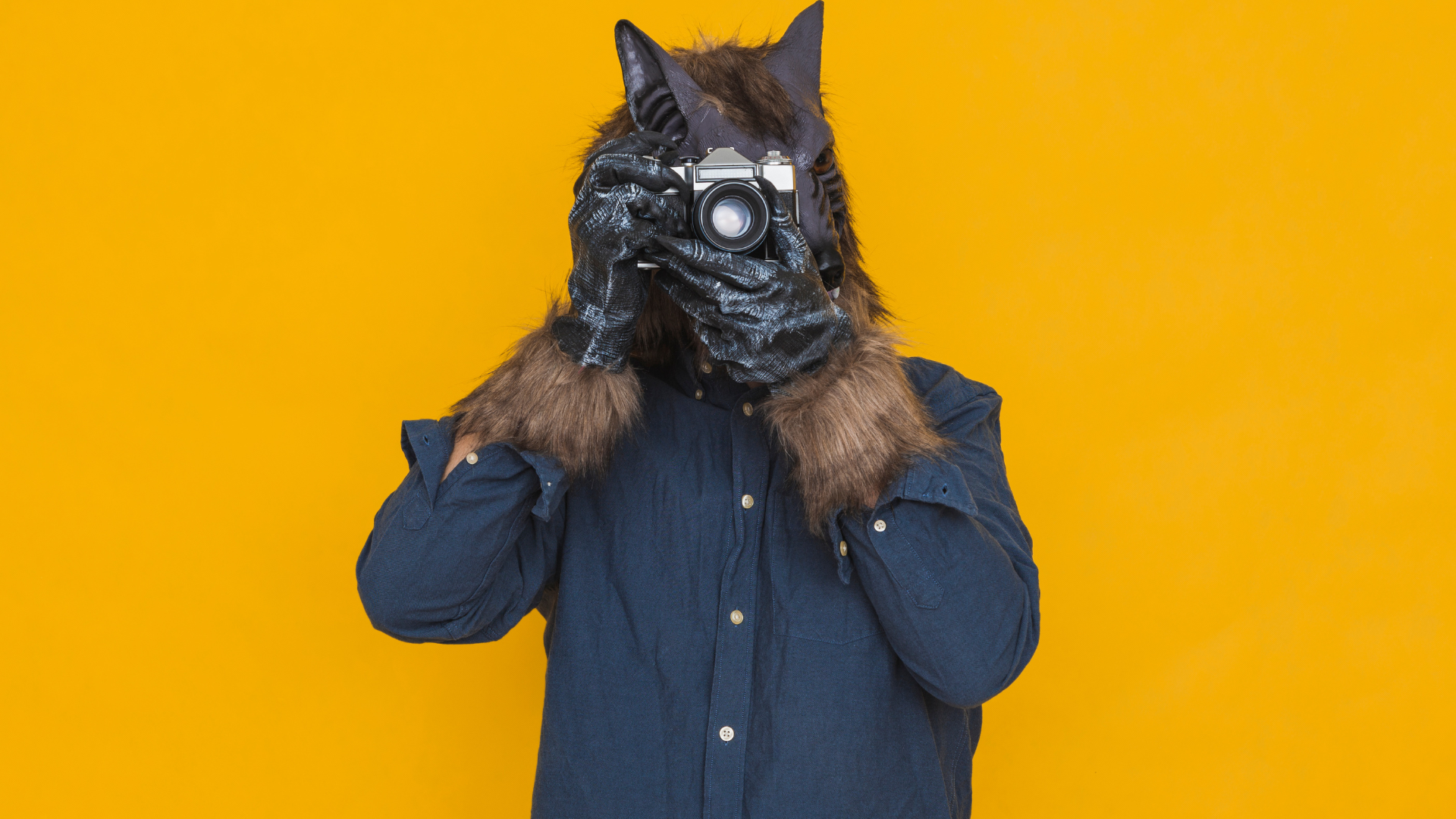 A weredog or werewolf in a blue work shirt against a gold-yellow background, pointing an old fashioned camera