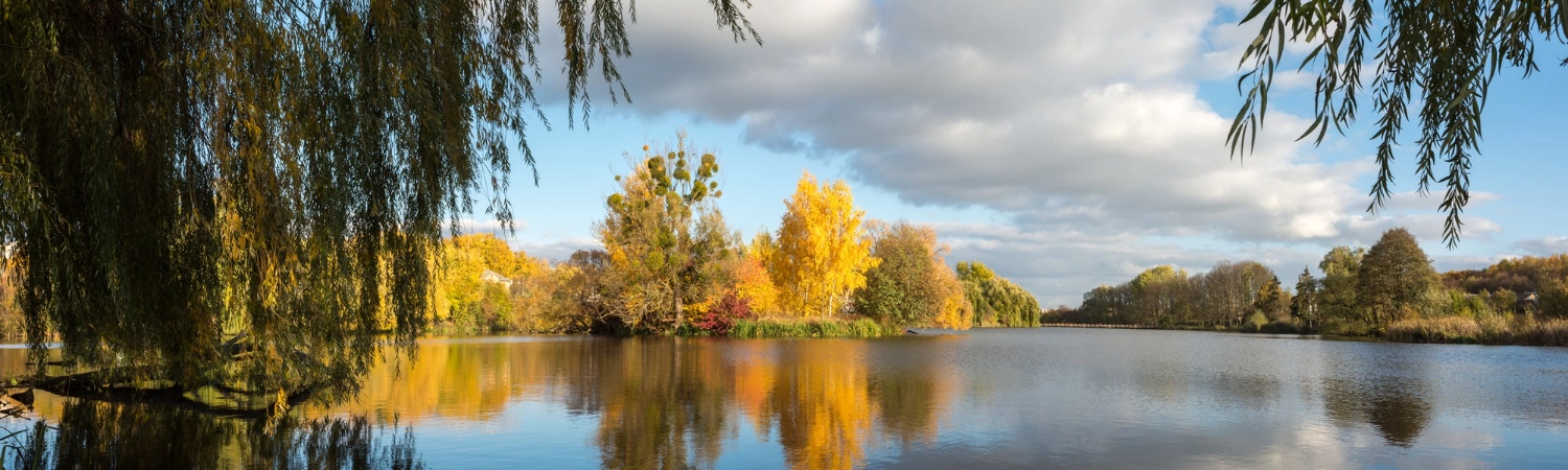 Meles Willow Lake