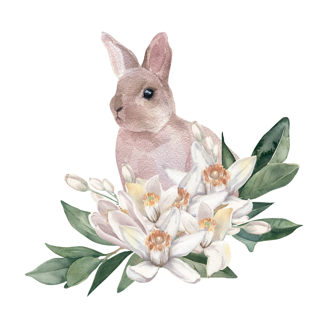 Watercolour image of a dusty-looking rabbit in white lilies