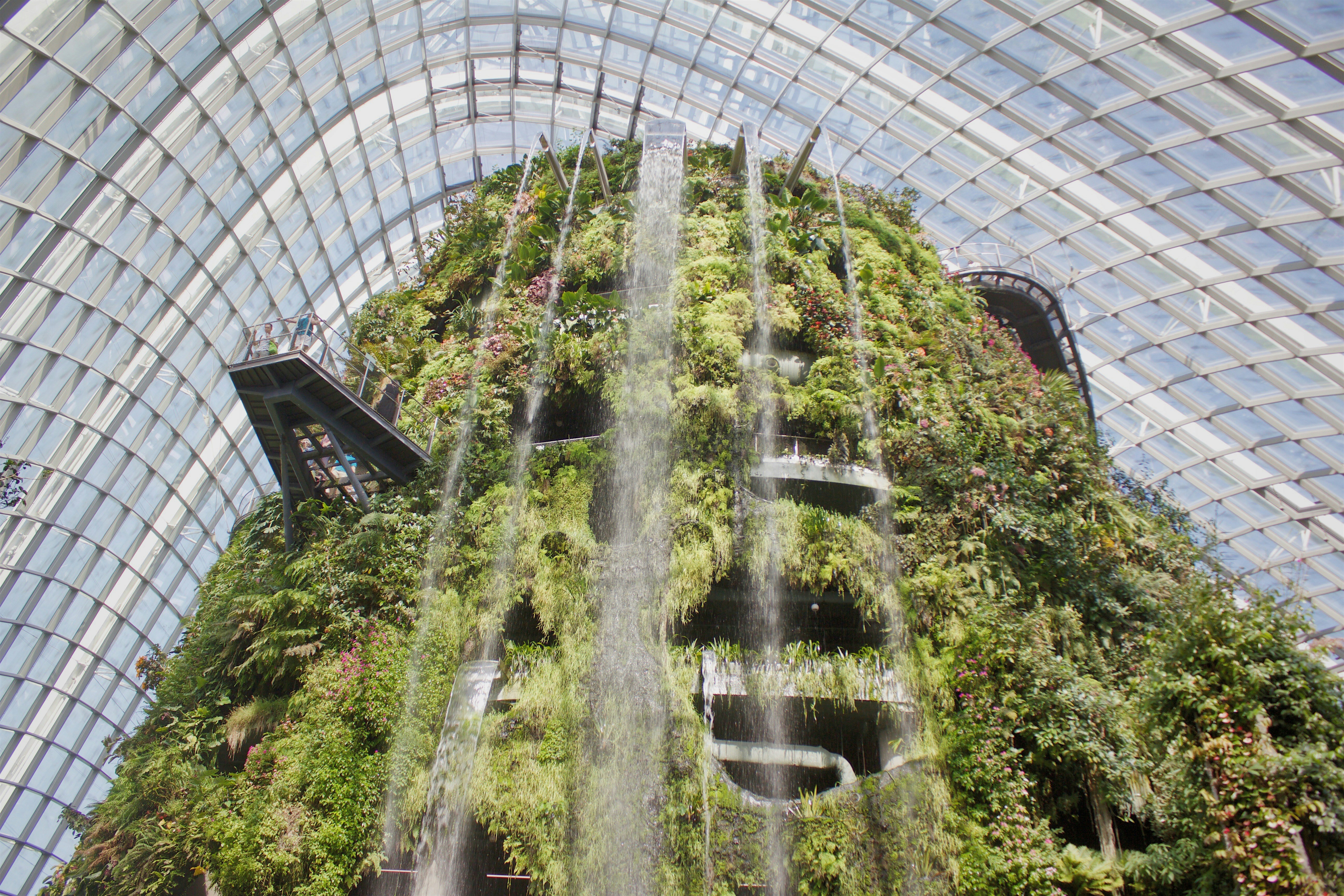 k8-k73_fihuSPc-unsplash.jpg A waterfall pouring over teeming green plants in a glass arch, with an extended viewpoint sticking out of it and people enjoying the view