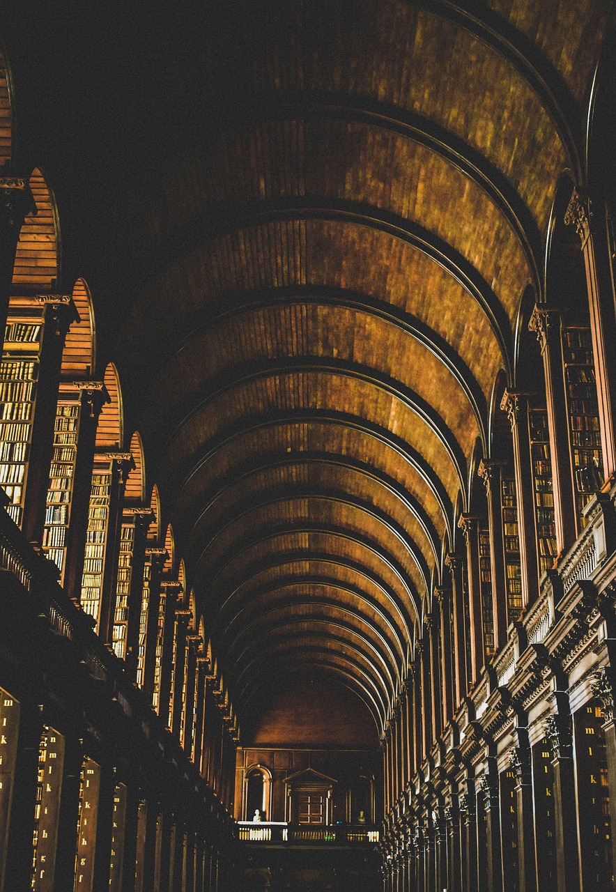 An enormous, ancient library with dark wood and overhead arch