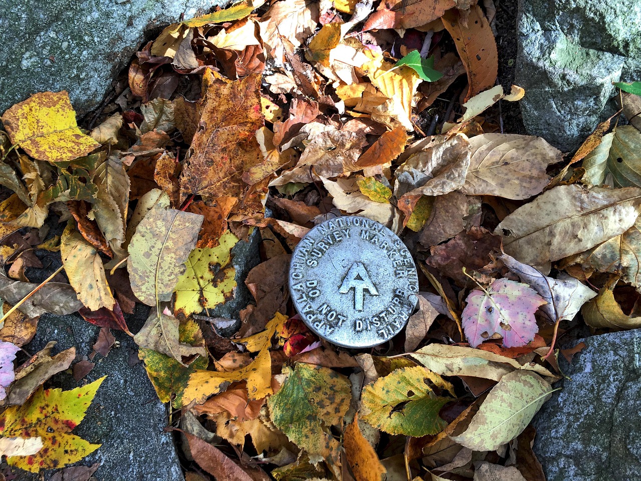 A close up of an Appalachian trail marker in autumn leaves