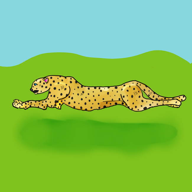 Cheetah.png