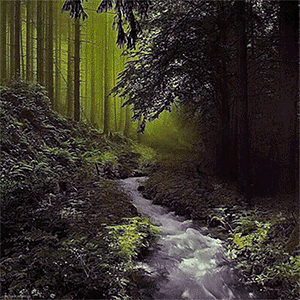the Counterrealm into the Feywyld