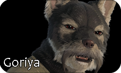 Goriya