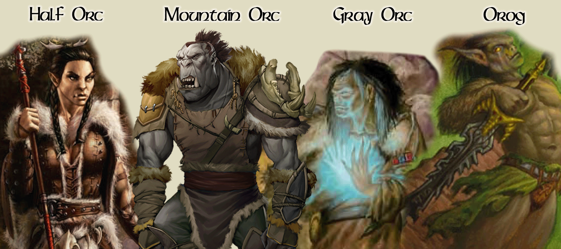 Orcs Species in Forgotten Realms: Reborn | World Anvil