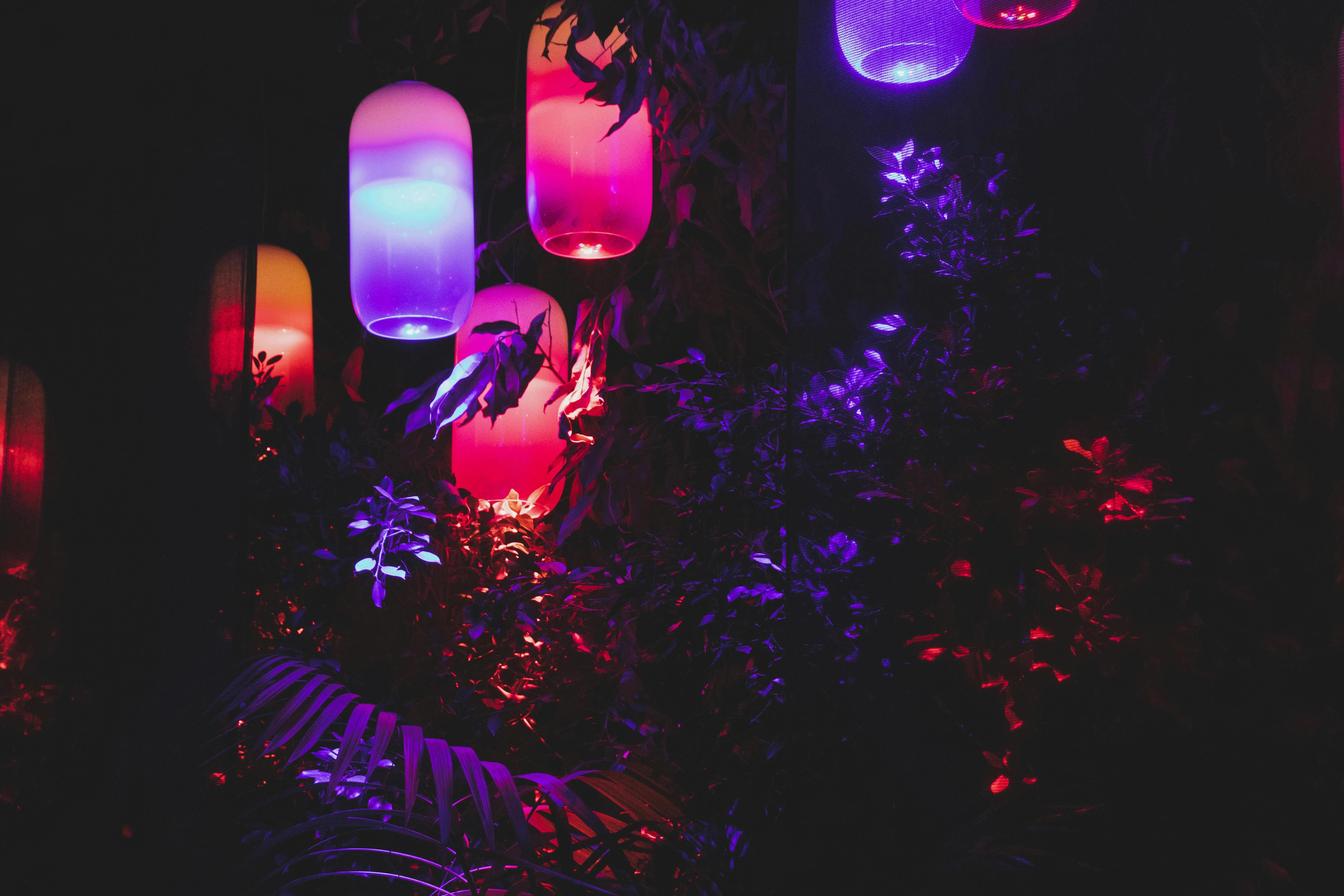 Fairy Lights