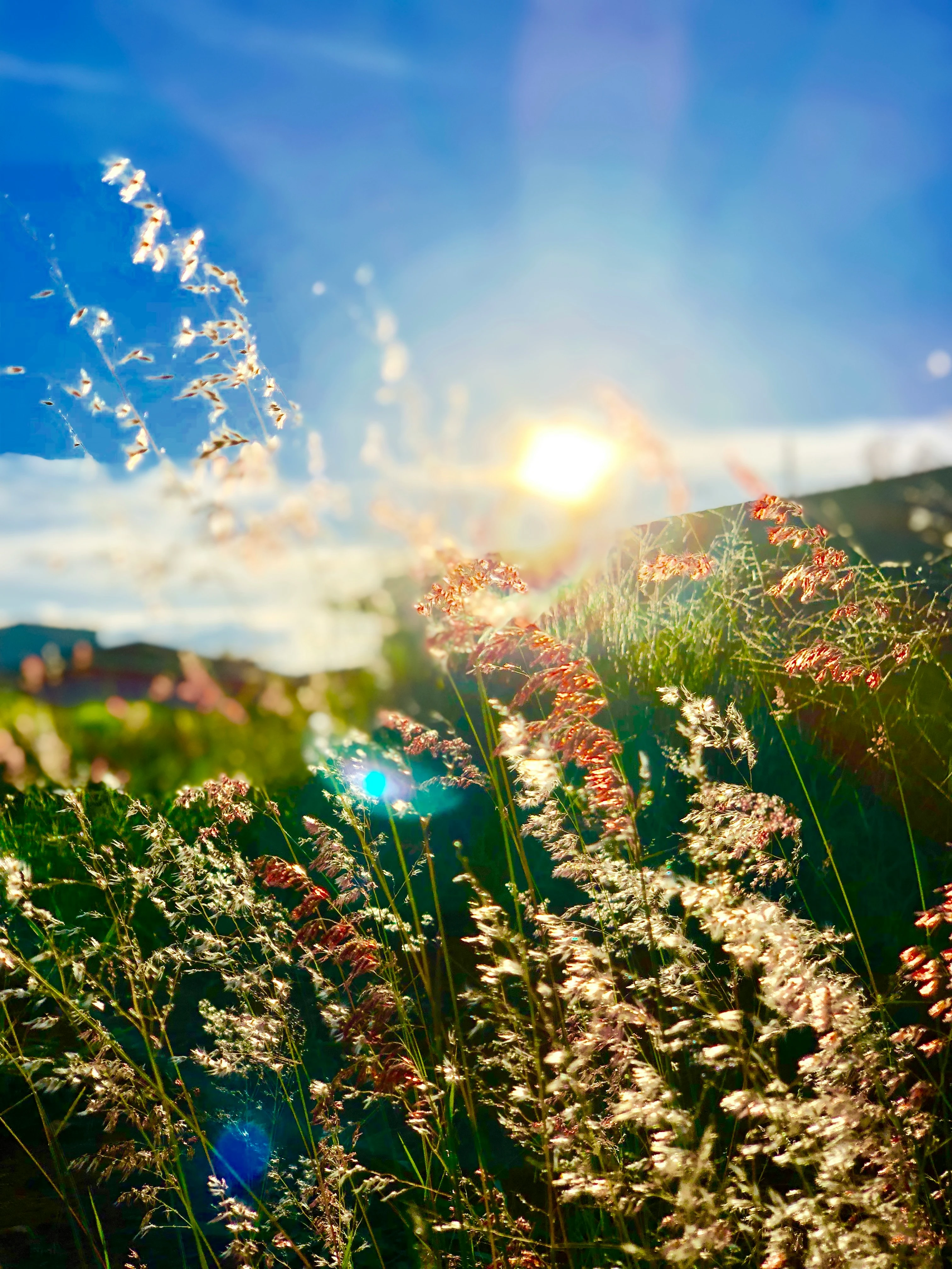 Growing Seasons