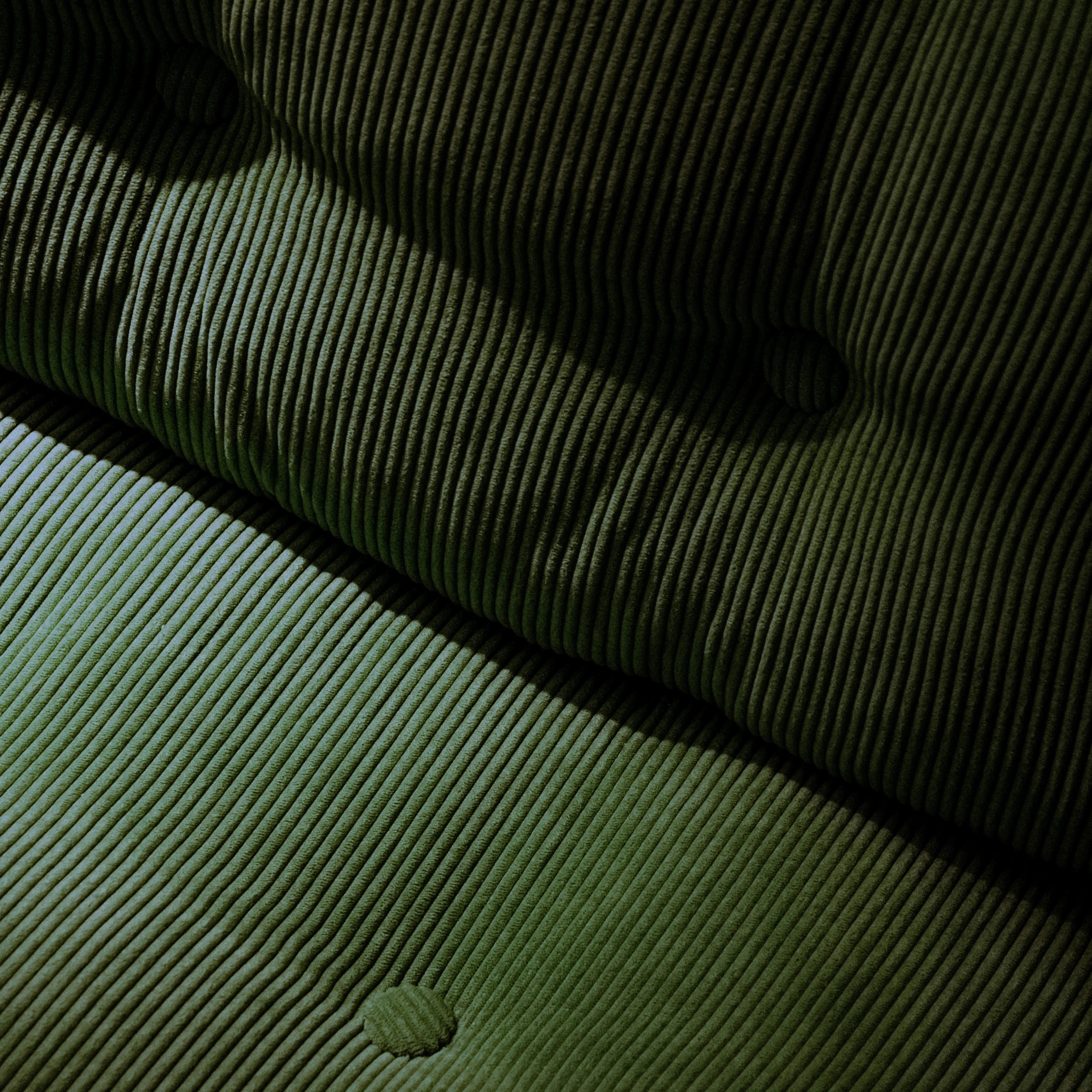Corduroy