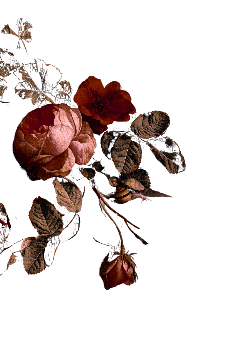 hand-back-flower