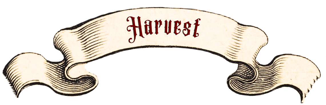 banner-harvest