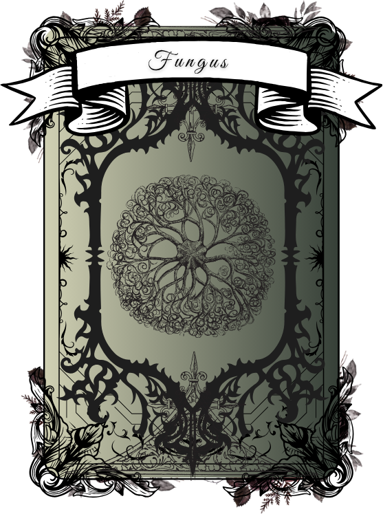 fongus-card