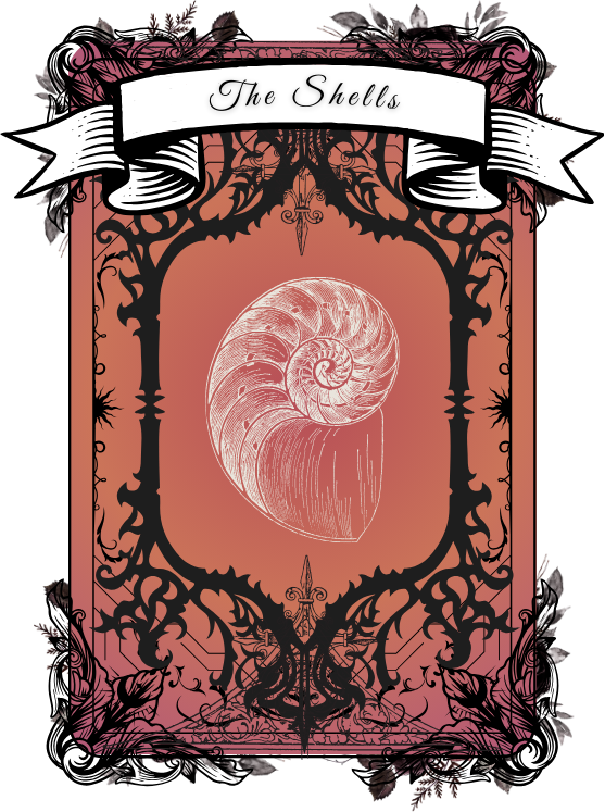 coquillage-card